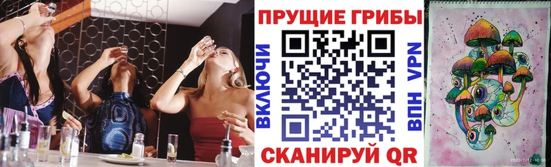 как найти закладки Черняховск Псилоцибиновые грибы GOLDEN TEACHER
